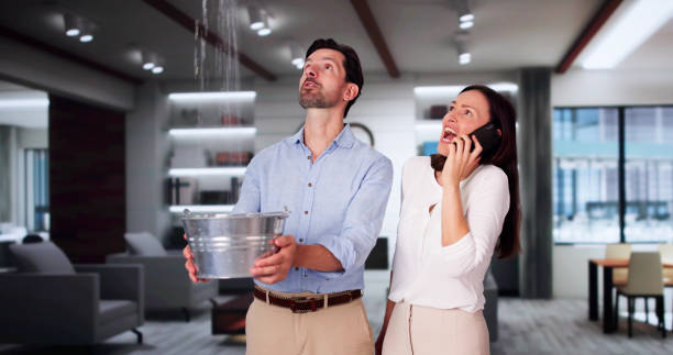 Best Emergency Water Extraction Services in Memphis, TN